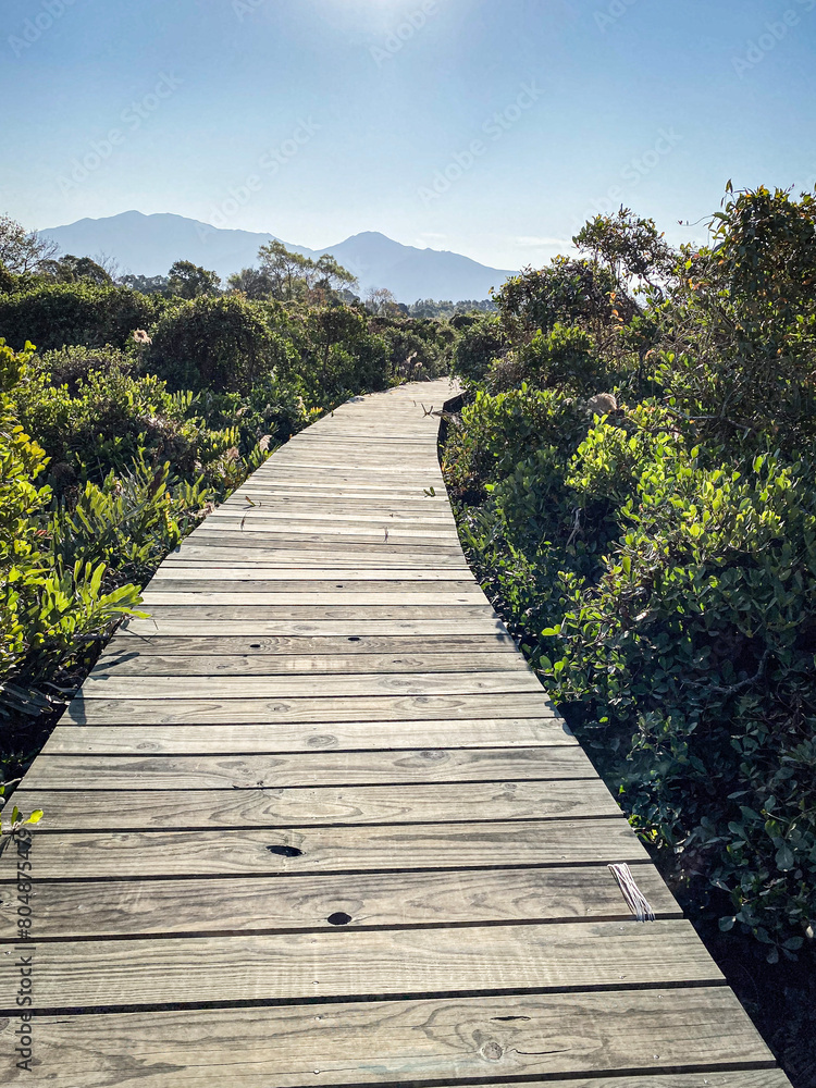 Tranquil Journey on a Rustic Wooden Boardwalk, Mai Po Nature Reserve, Hong Kong