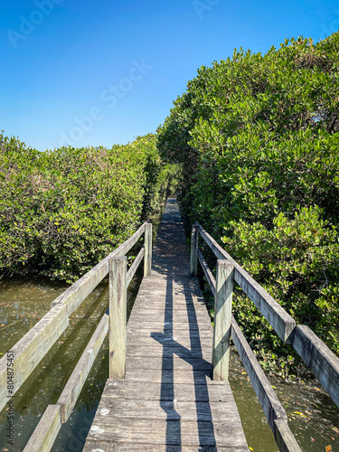 Tranquil Journey on a Rustic Wooden Boardwalk, Mai Po Nature Reserve, Hong Kong photo