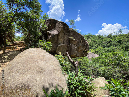 Majestic Dinosaur Rock Formation Amidst Verdant Foliage
