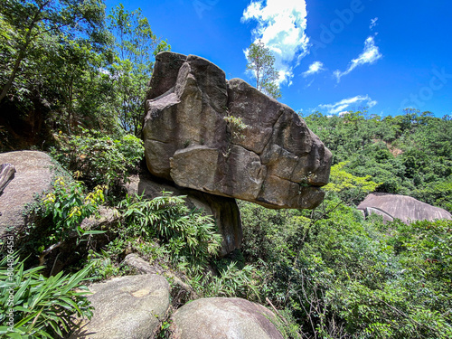 Majestic Dinosaur Rock Formation Amidst Verdant Foliage