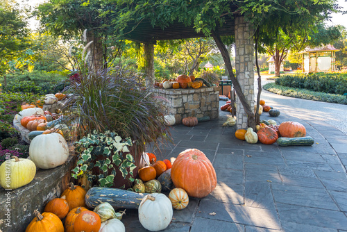 Variety of pumpkins in the Dallas Arboretum and Botanical Garden, in harvest season in Dallas, Texas photo