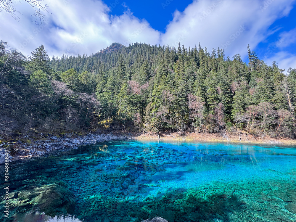 Jiuzhaigou's Five-Color Pond Majesty