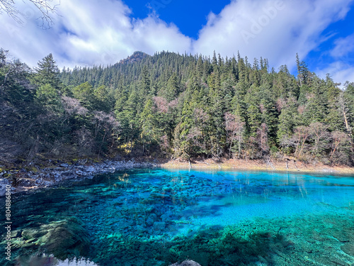 Jiuzhaigou's Five-Color Pond Majesty