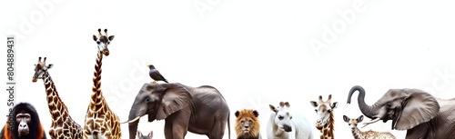 Diverse array of majestic wild animals in lush African safari landscape © pisan thailand