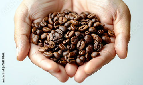 Two hands holding green unroasted and brown roasted coffee beans against a white background. Generate AI
