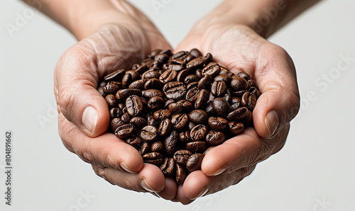 Two hands holding green unroasted and brown roasted coffee beans against a white background. Generate AI