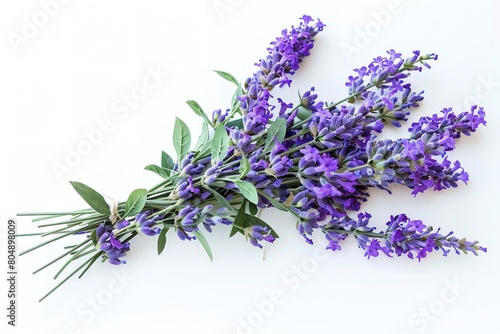 Lavender lavender flowers purple bouquet of flowers. Generative Ai