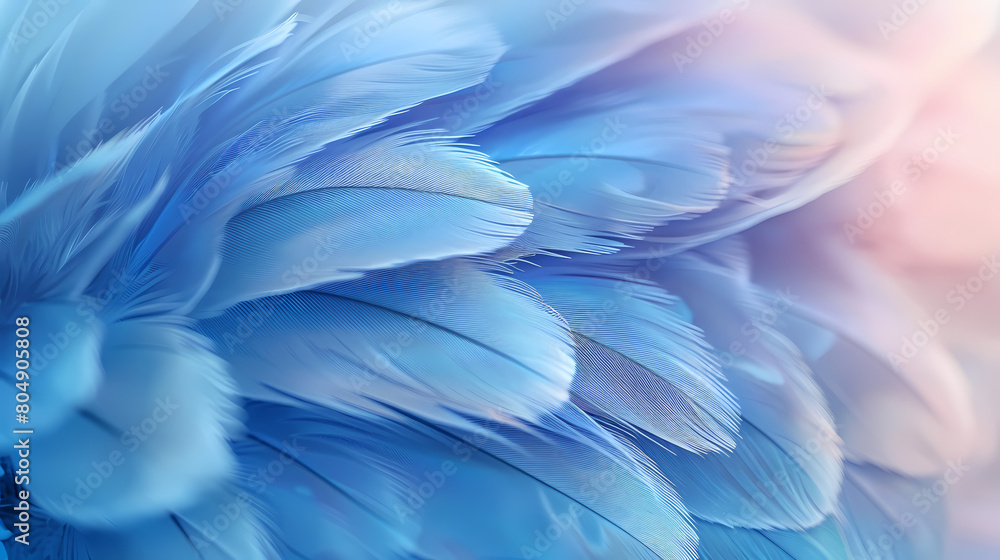 Background of soft and blurred chicken feathers in beautiful colors,Vector illustration Background of soft and blurred chicken feathers in beautiful colors,Vector illustration