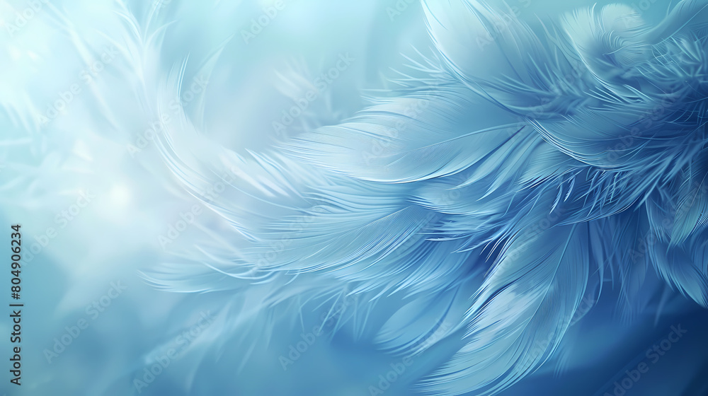Background of soft and blurred chicken feathers in beautiful colors,Vector illustration Background of soft and blurred chicken feathers in beautiful colors,Vector illustration