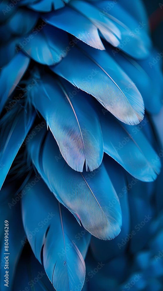 Background of soft and blurred chicken feathers in beautiful colors,Vector illustration Background of soft and blurred chicken feathers in beautiful colors,Vector illustration