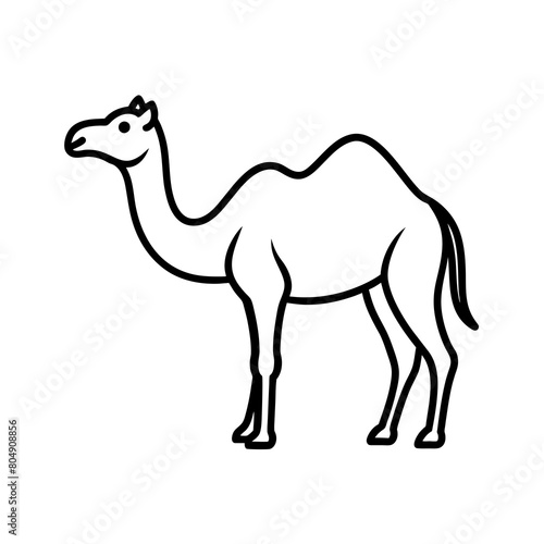 camel vector illustration