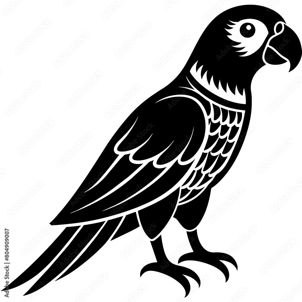 Parrot vector illustration art Parrot vector illustration art