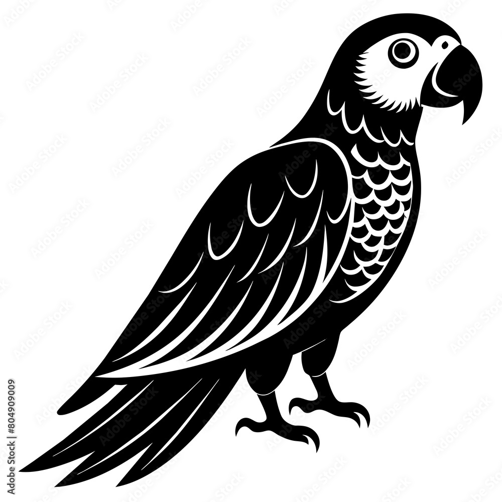 Parrot vector icon illustration Parrot vector icon illustration
