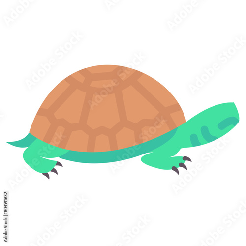 turtle flat vector icon