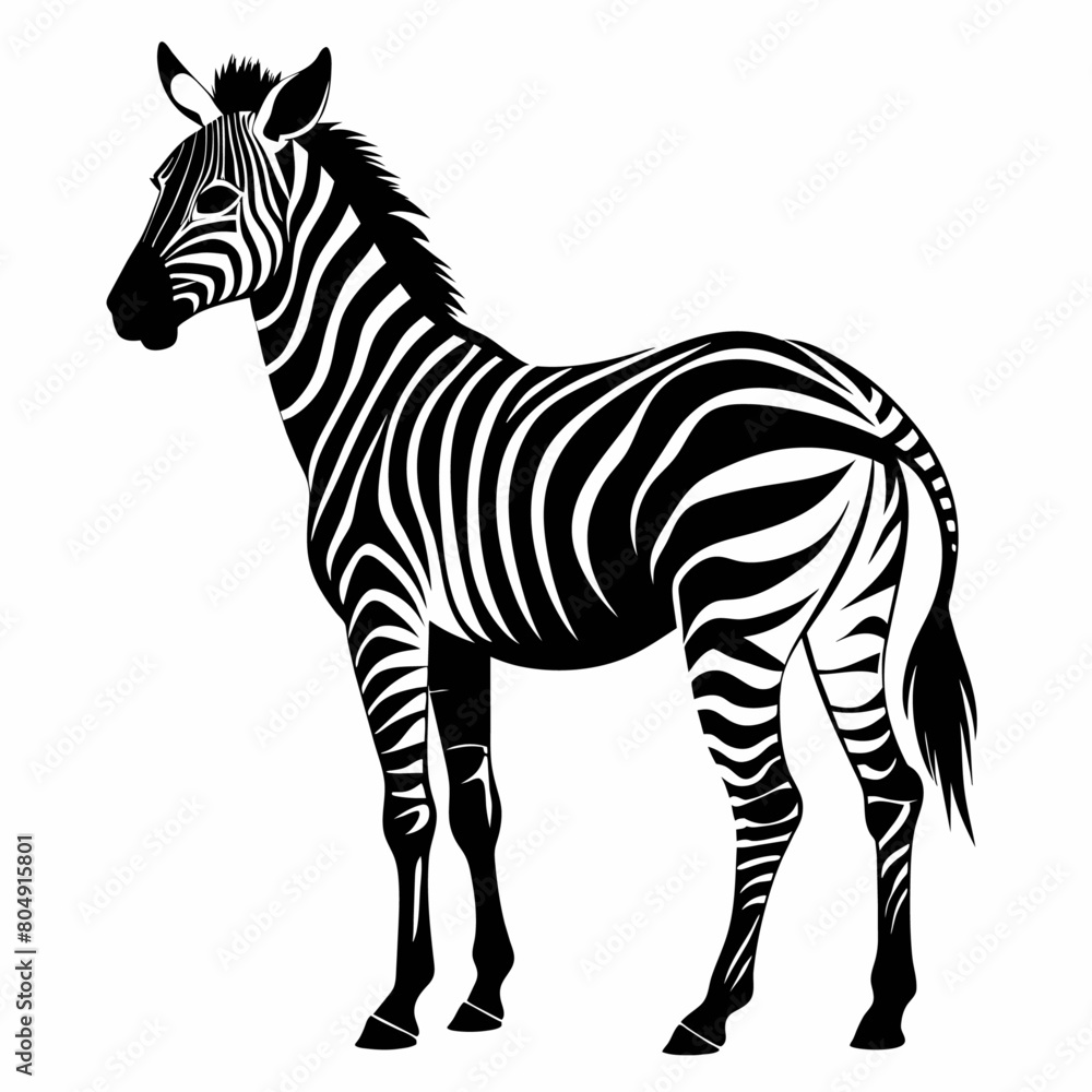 zebra vector art illustration flat style (18)