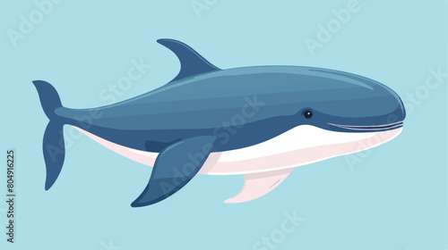 cute whale tiny small wild animal Isolated on color