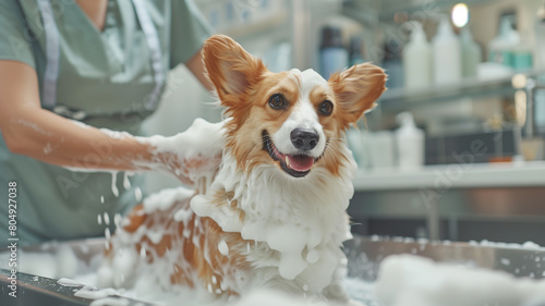 Give your dog the ultimate spa experience with our all-natural dog shampoo!