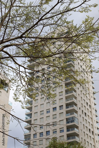 Wallpaper Mural Buildings and structures in Tel Aviv against the background of branches and leaves of tall trees. Torontodigital.ca