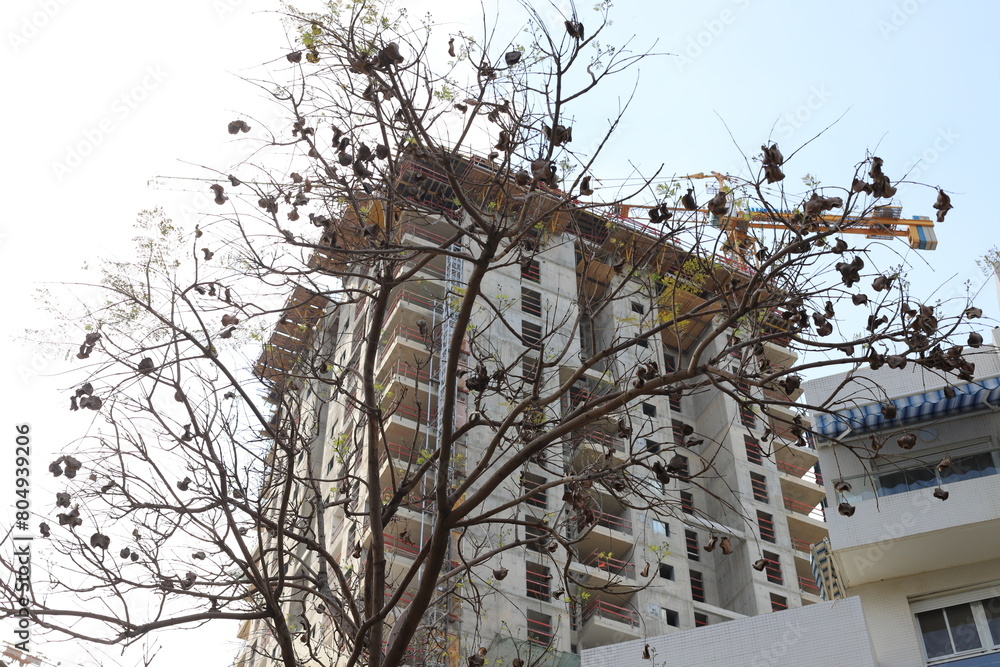 Fototapeta premium Buildings and structures in Tel Aviv against the background of branches and leaves of tall trees.