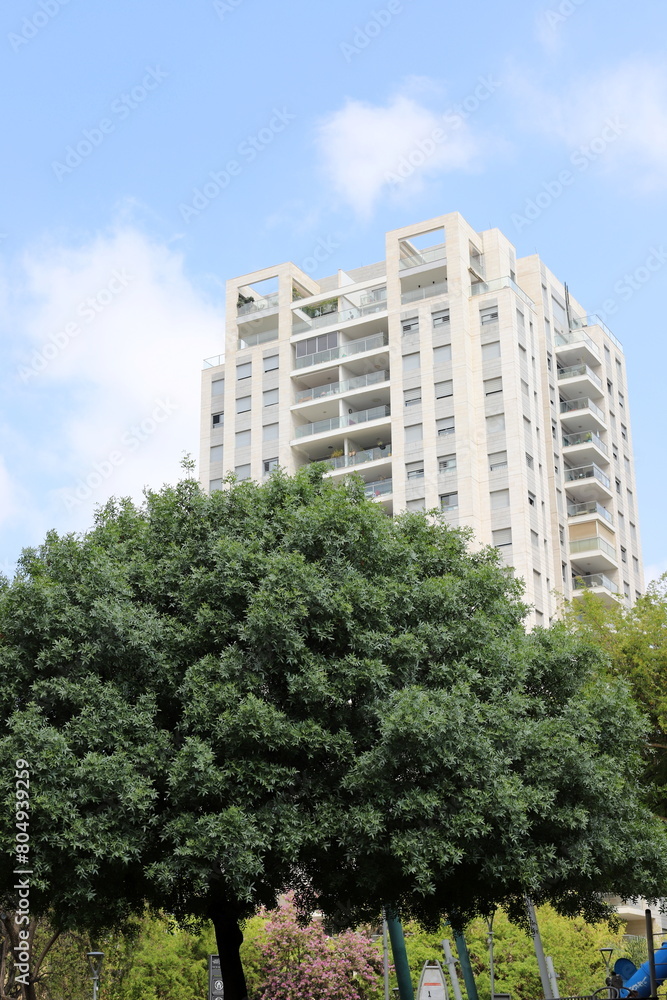 Buildings and structures in Tel Aviv against the background of branches and leaves of tall trees. Buildings and structures in Tel Aviv against the background of branches and leaves of tall trees.