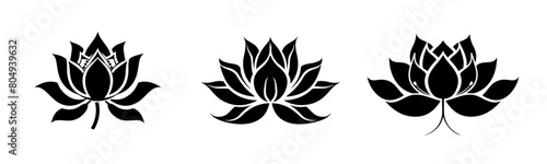 Floral Harmony: Vector Lotus Illustration Bundle photo