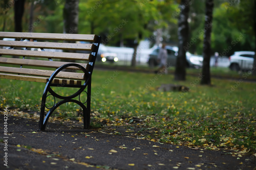 Autumnal park with bench. Falling leaves. Focus on bench