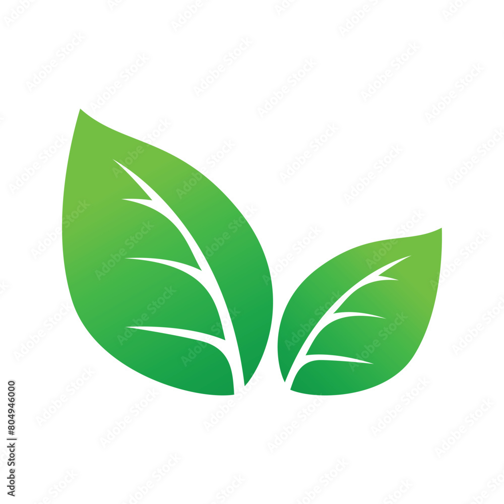 Green Leaf Vector Art, flat green leaf vector on white Green Leaf Vector Art, flat green leaf vector on white
