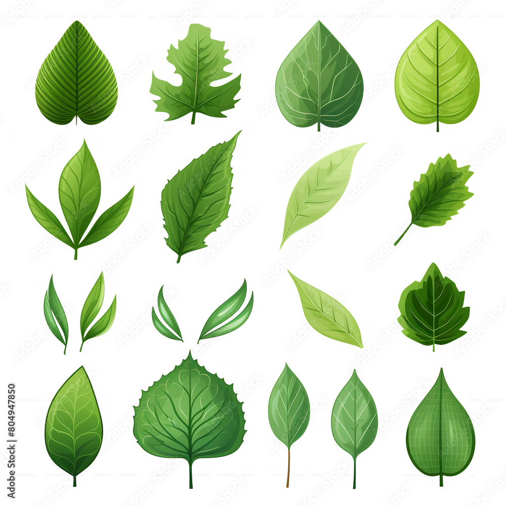 Fototapeta premium green leaf icons set on white background vector