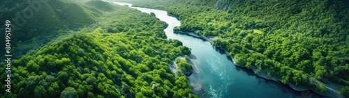 Lush green forest landscape with winding river
