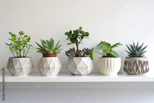 A series of minimalist ceramic plant pots with geometric patterns, arranged in a row on a white shelf, showcasing their modern aesthetic.  © grey