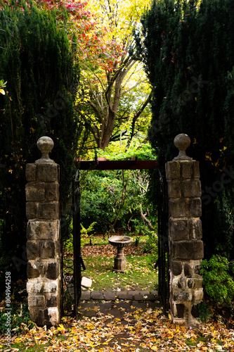 Landscapes