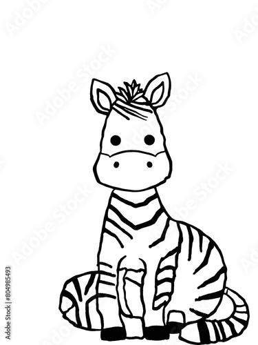 zebra vector illustration art