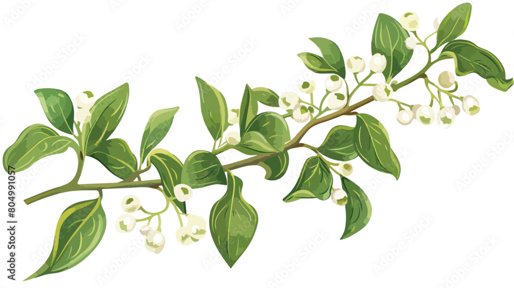 Mistletoe branch illustration with berries Vector illustration