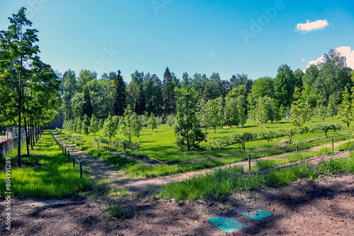 Monrepos Park, recreation in the park, promenade by the lake, natural landscape, tourist recreation in the reserve. photo