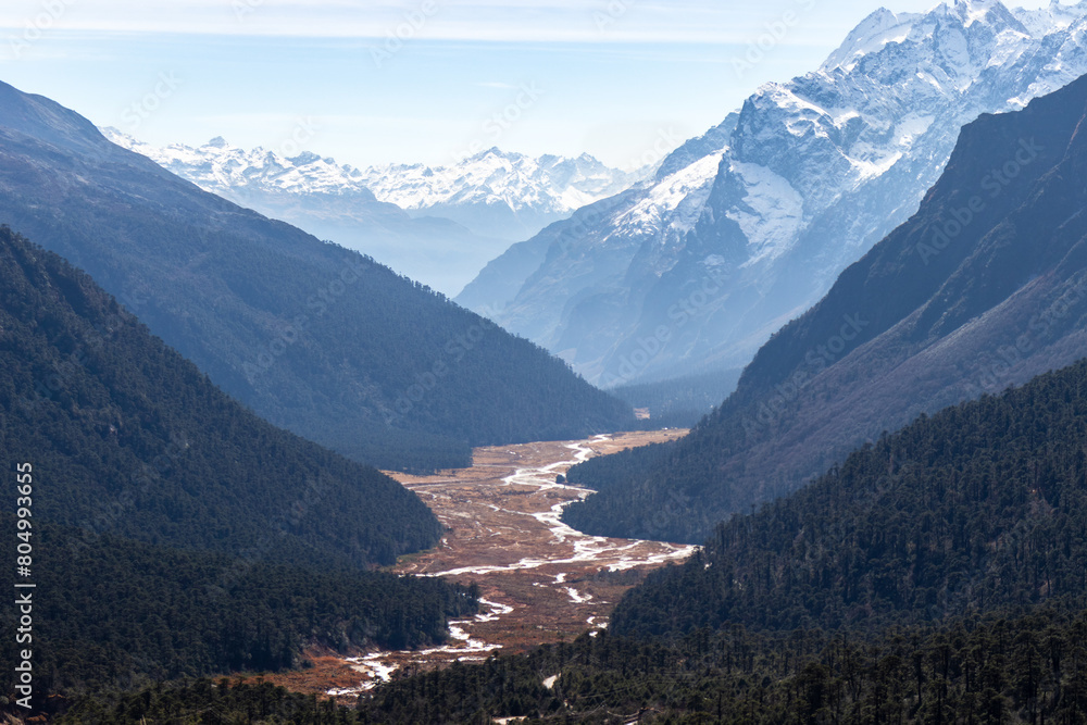 A river cutting through a lush green valley surrounded by towering snow-capped mountains, creating a picturesque landscape. The scene captures the beauty of nature in the highlands. Sikkim, India