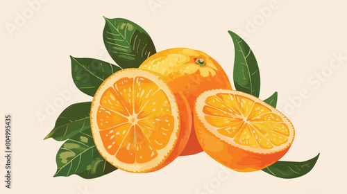Orange with leafs fresh and citrus fruit Vector illustration