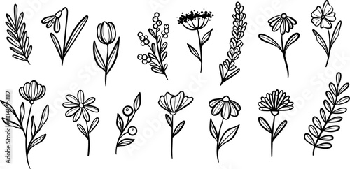 Plant illustration set, vector flower doodles, botanical clip art set, isolated