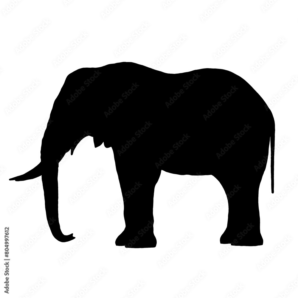 Black Elephant | Elephant Drawing | Elephant Illustration
