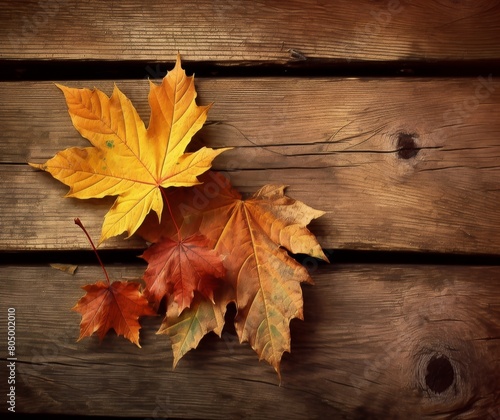 Autumn Maple Leaves on Rustic Wooden Background Fall Season Concept