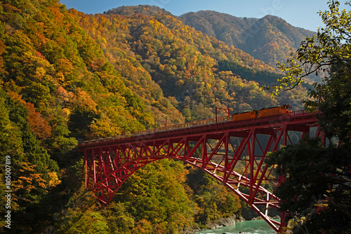 Kurobe Gorge Railway in Toyama,Japan. photo