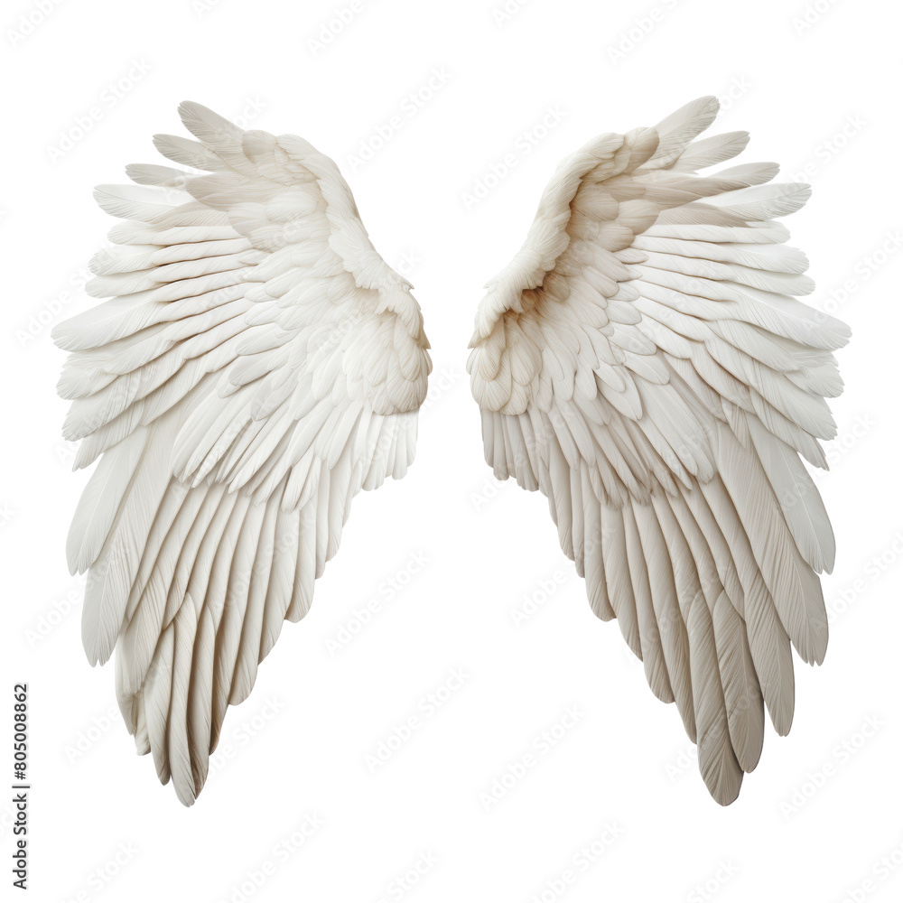 Fototapeta premium angel wings isolated on transparent background cutout