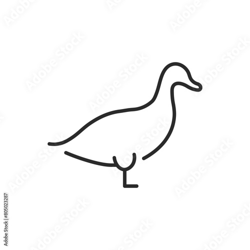 Duck icon. Represents a duck, commonly found in water-rich environments and known for its distinctive quacking. Used in contexts related to wildlife, nature, agriculture. Vector illustration 