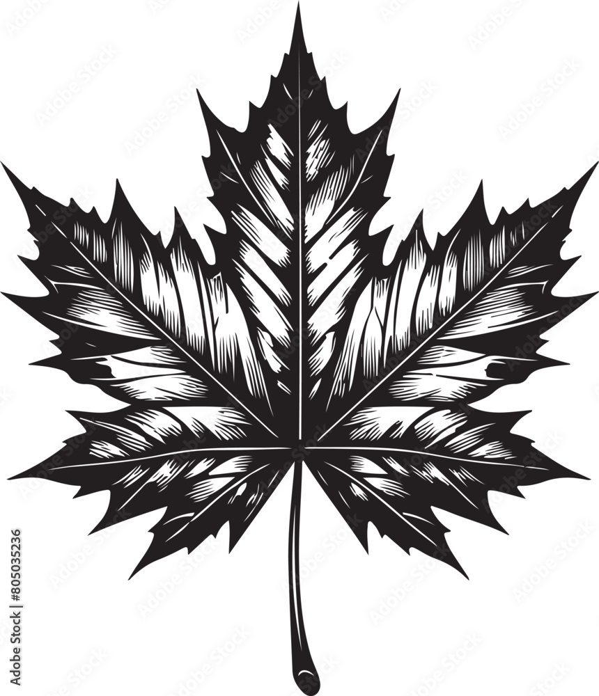 Naklejka premium black and white leaf