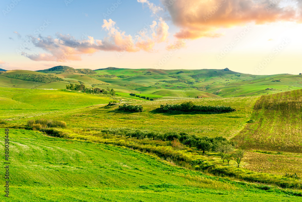 Obraz premium Beautiful landscape of green spring season field with salad grass, farm with garden and sunset or sunrise scenic sky