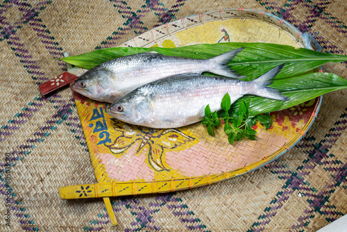ilish on welcome tray, National fish of Bangladesh Hilsafish ilisha terbuk hilsa herring or hilsa shad Clupeidae family on white background, famous both Bengali's in Kolkata India and Bangladesh.