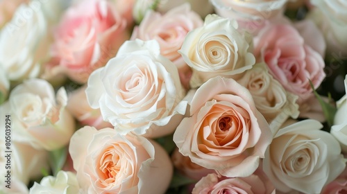 A bouquet of white and pink roses