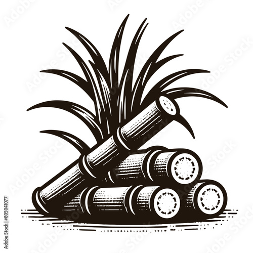 Sugar cane. Cane sugar. Stems. Vintage vector engraving illustration, emblem, logo, icon. isolated object, cut out