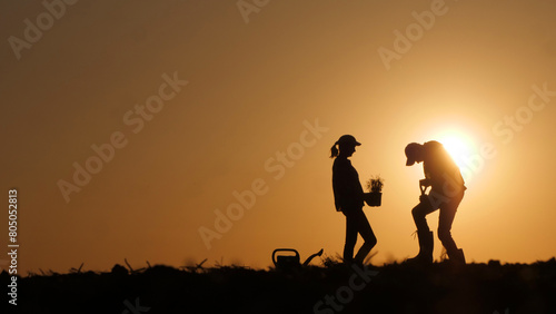 A couple of farmers plant seedlings in a field. Silhouettes against the backdrop of a picturesque sunset