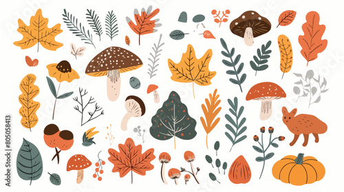 Autumn hand drawn elements collection. Cute vector illustration