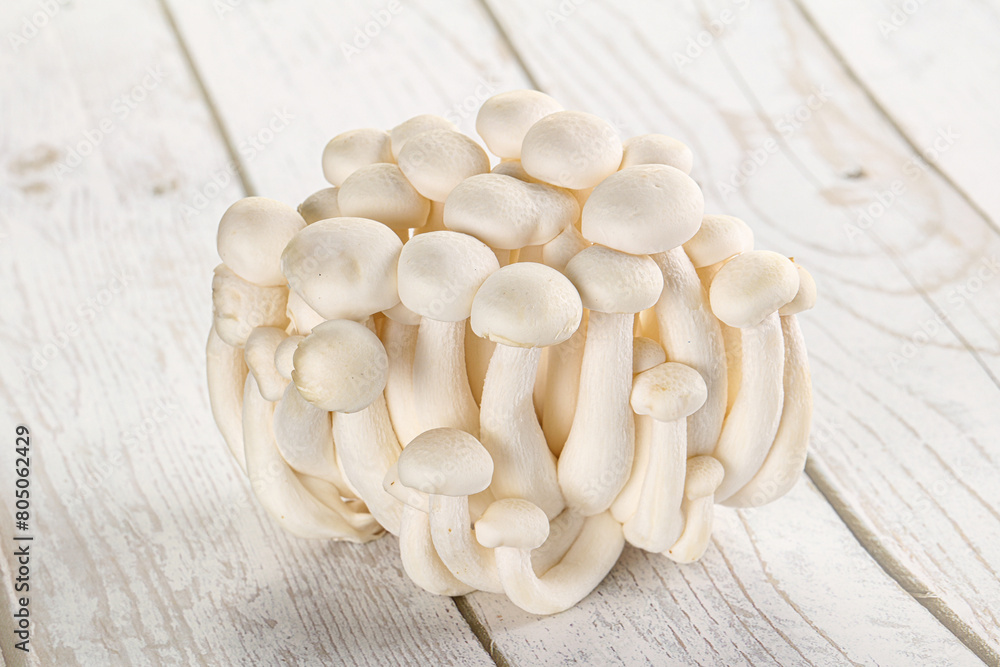 Japanese Shimeji mushroom for cooking